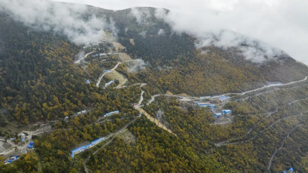 ÐÂÆÏÌÑ(8883¡¤AMG)¹Ù·½ÍøÕ¾